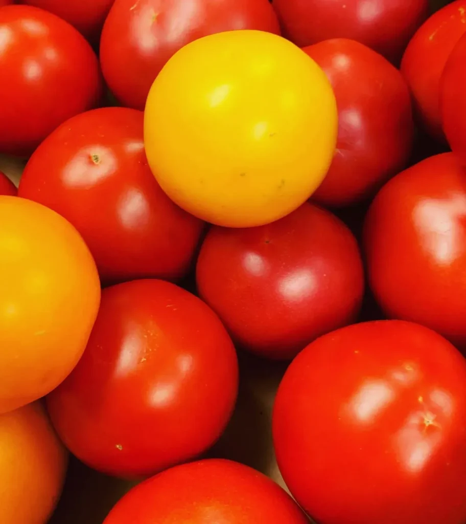close up of red tomatoes